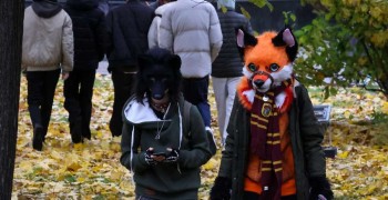 Квадроберы в законе