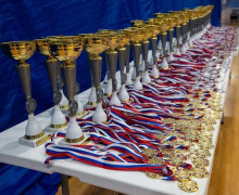 Турнир по самбо в Дубне