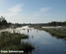 Фантастический путь или Венеция на болоте