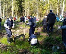 На территории Талдомского городского округа состоялось акция Наш лес. Посади своё дерево