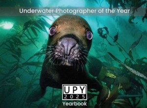 Победители конкурса подводной съемки The Underwater Photographer of the Year 2025