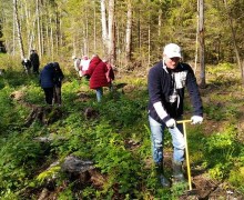 На территории Талдомского городского округа состоялось акция Наш лес. Посади своё дерево